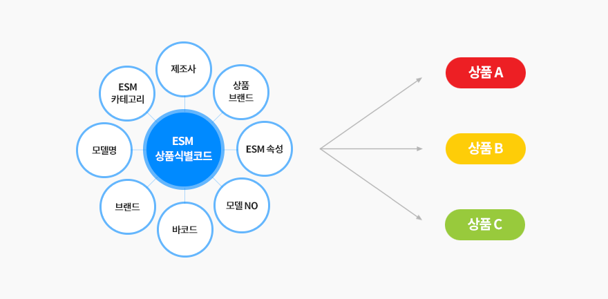 ESM 상품식별코드는 제조사, 상품브랜드, ESM속성, 모델 NO, 바코드, 브랜드, 모델명, ESM카테고리 정보에 따라 상품A, 상품B, 상품C로 구분되는 예시