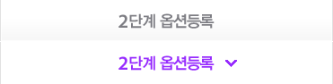 2단계옵션등록