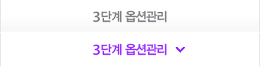 3단계옵션관리