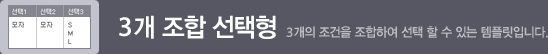 3개 조합 선택형_3개의 조건을 조합하여 선택 할 수 있는 템플릿입니다.