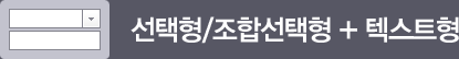 선택형/조합선택형+텍스트형